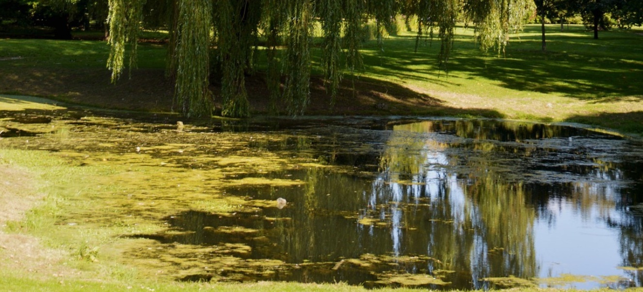 Images/17-September-2024-32-10-rand40656C5.jpg