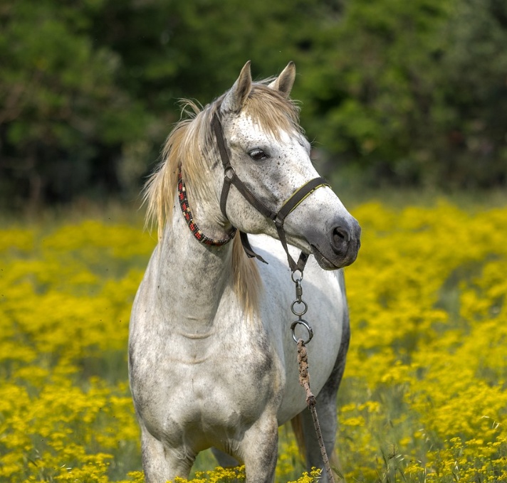 Images/29-July-2024-11-42-rand3101C49.jpg