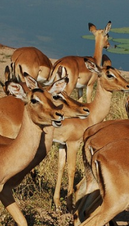 Images/24-October-2022-20-42-rand775image.png