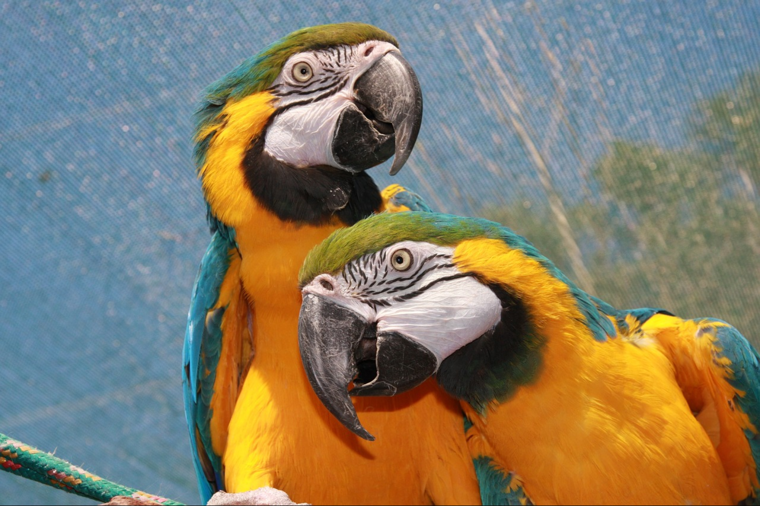 Images/26-April-2023-55-46-rand668image.png