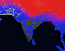 Images/26-September-2024-52-31-rand377image.png