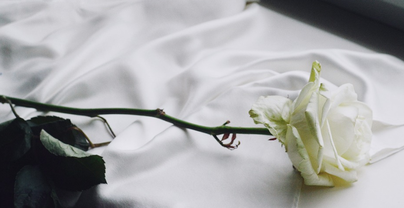 Images/5-February-2023-25-12-rand485image.png